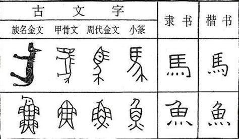 概由|汉字“概”的起源与演变（源流）